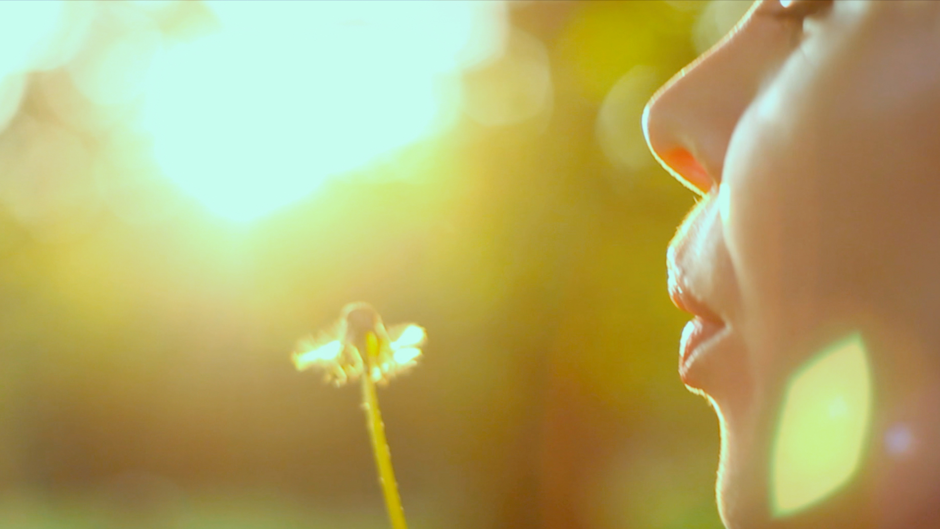 El reflejo de un año atípico: Una entrevista con Kevin Macdonald por 'Life in a Day 2020'