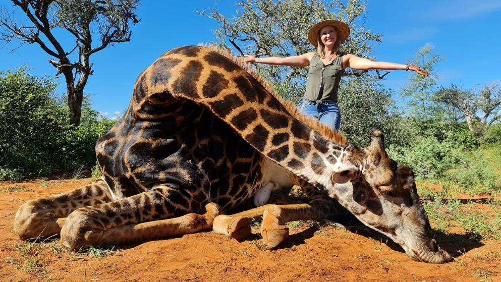 Mundo enfermo y triste: Mujer mata a una jirafa para “ayudar" a las especies en peligro de extinción