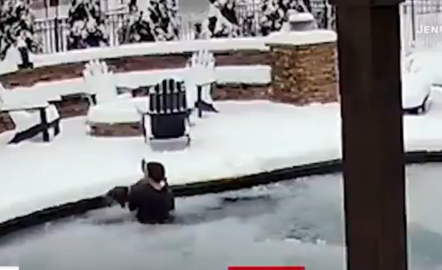 Mujer rescata a su perrito de una piscina congelada y evita que muera 