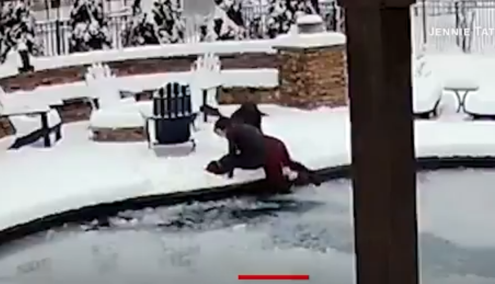 Mujer rescata a su perrito de una piscina congelada y evita que muera 