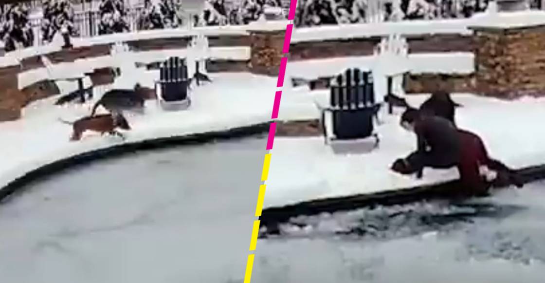 Mujer rescata a su perrito de una piscina congelada y evita que muera por hipotermia