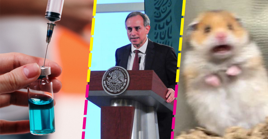 pedazos-feto-aborto-vacunas-falso-gatell-mananera