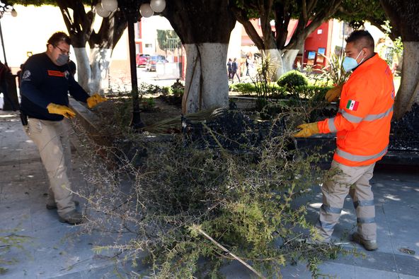 Bloquean con ramas las bancas de una plaza en Guanajuato para evitar aglomeraciones