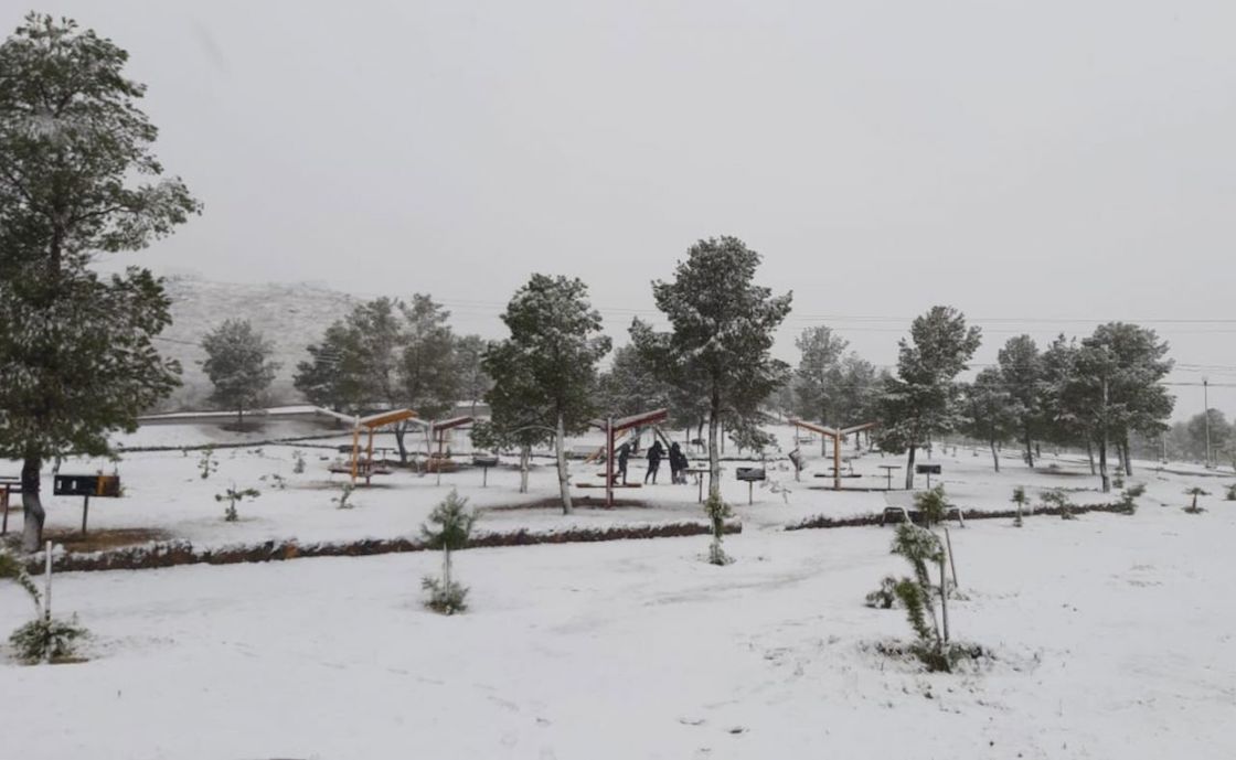 tormenta-invernal-apagon-cenace
