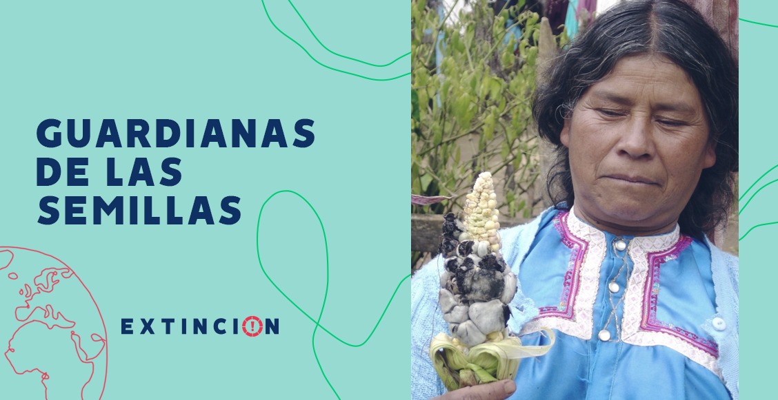 guardianas de las semillas