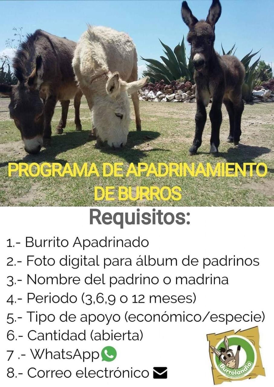 apadrinamiento-burrolandia