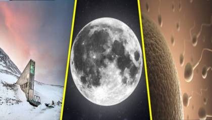 El Arca Lunar: Proponen enviar 6.7 millones muestras de óvulos y espermas al satélite