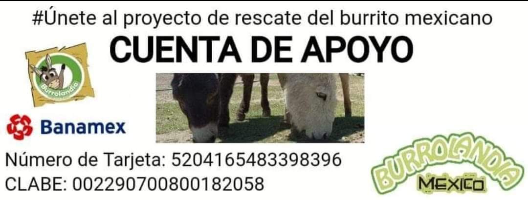 burros-apoyo