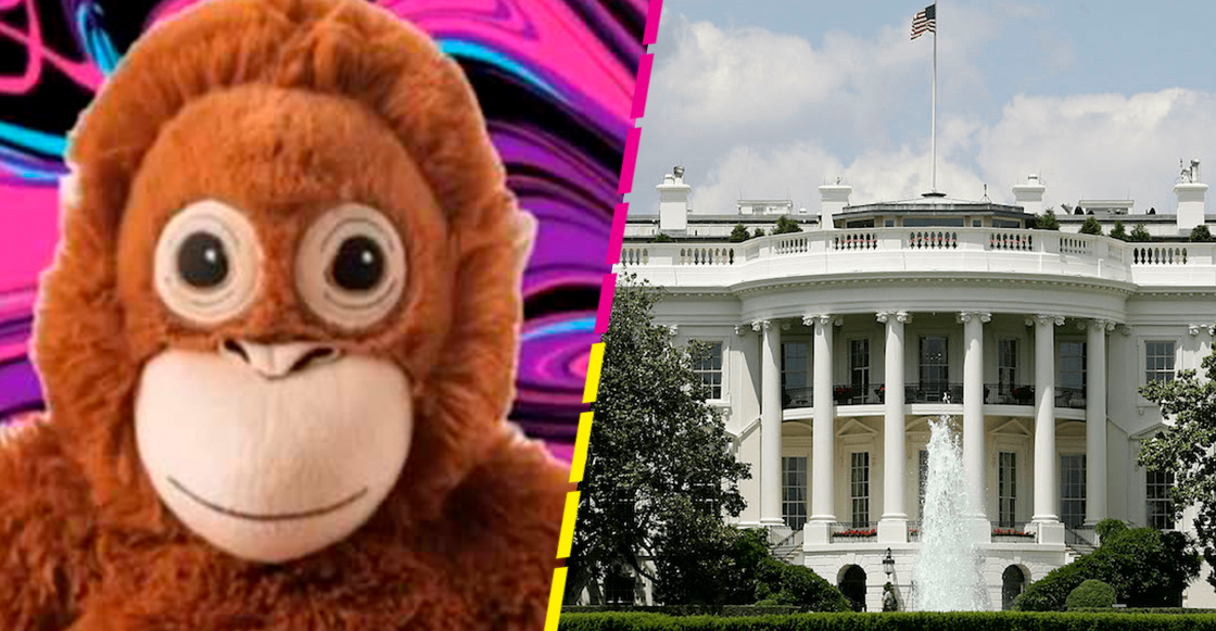 casa-blanca-trabajadores-marihuana