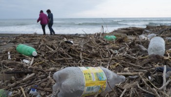 ¿Vacaciones? Estas son las playas mas contaminadas de México
