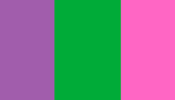 colores-bandera-8m-mexico-dia-mujer-violeta-verde-rosa