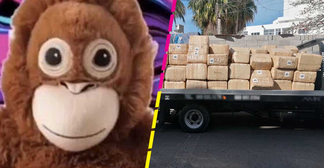 decomisan-dos-toneladas-marihuana