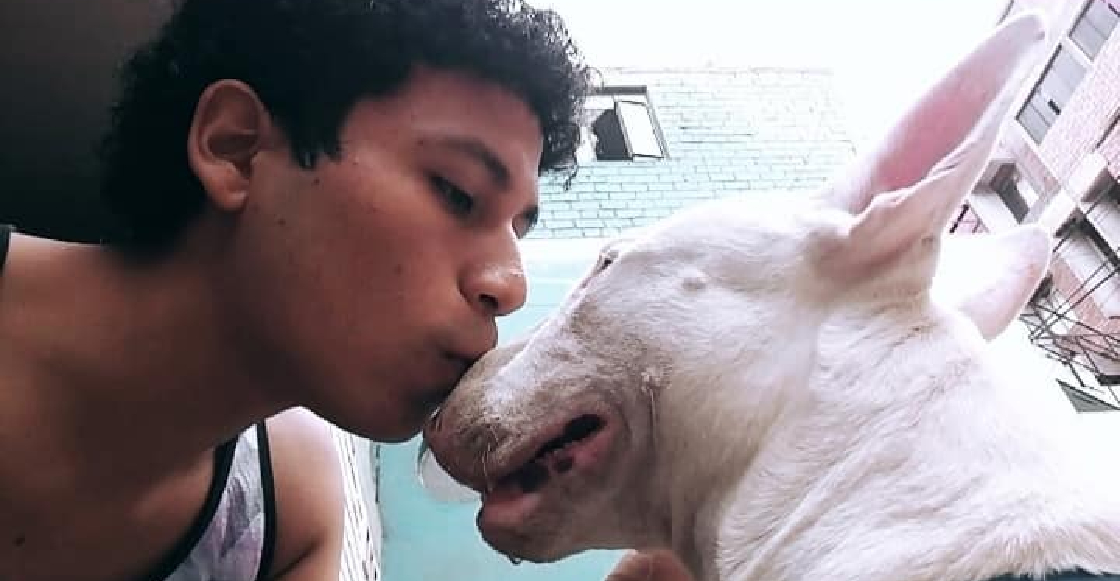 Este joven hizo su tesis sobre la muerte de su perrito