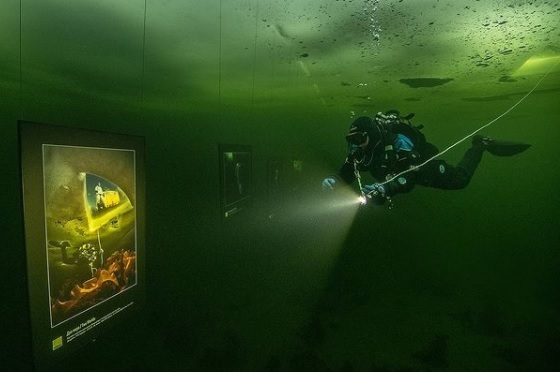 ‘Hasta que el Hielo se Derrita’: La primera exposición submarina en el mundo