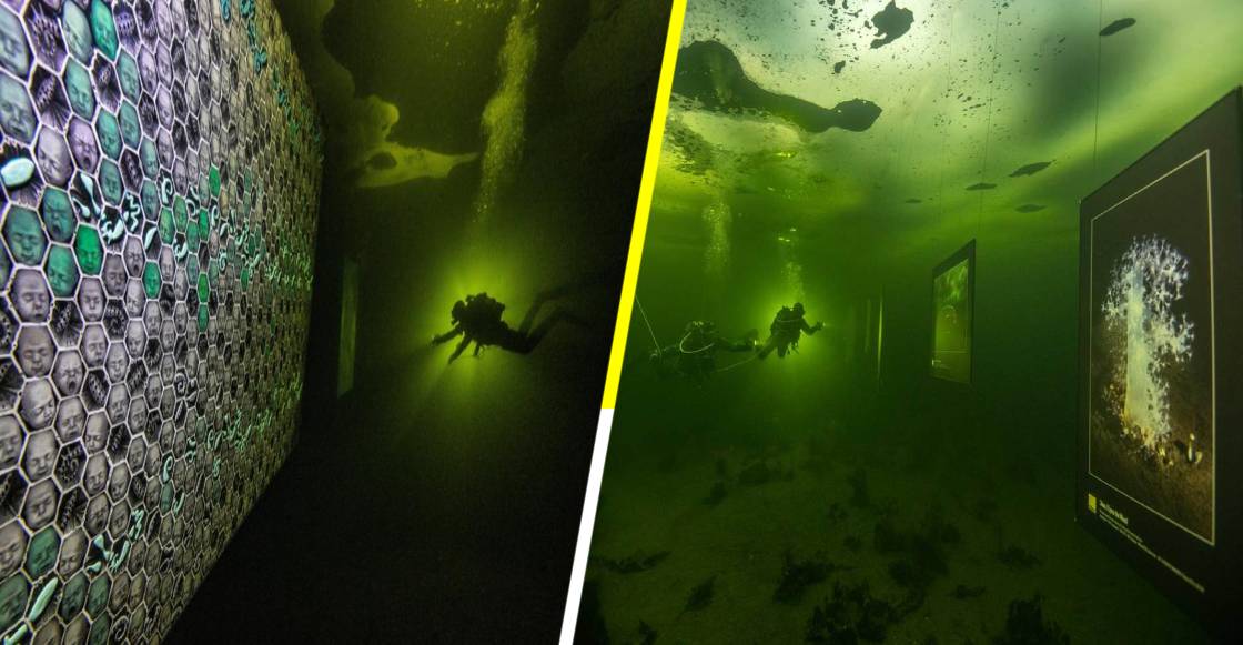 ‘Hasta que el Hielo se Derrita’: La primera exposición submarina en el mundo