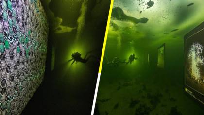 ‘Hasta que el Hielo se Derrita’: La primera exposición submarina en el mundo
