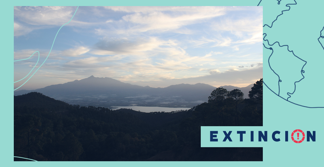 extincion-ambiental-chapala-agradecer