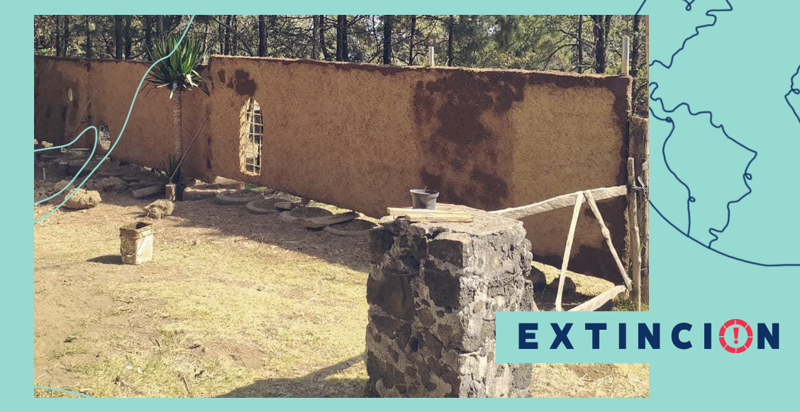 extincion-mujeres-uniendo-comunidades-ladera-huitzilac-morelos