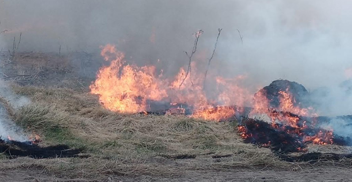 fuego-incendios-mexico