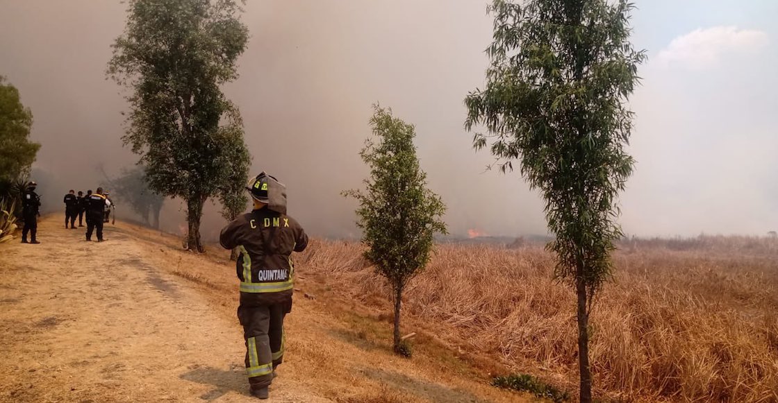 incendio-xochimilco-bomberos
