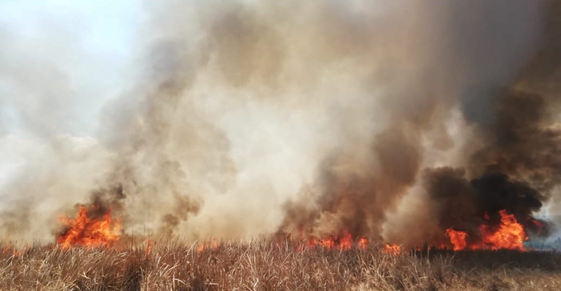cdmx-incendios-forestales