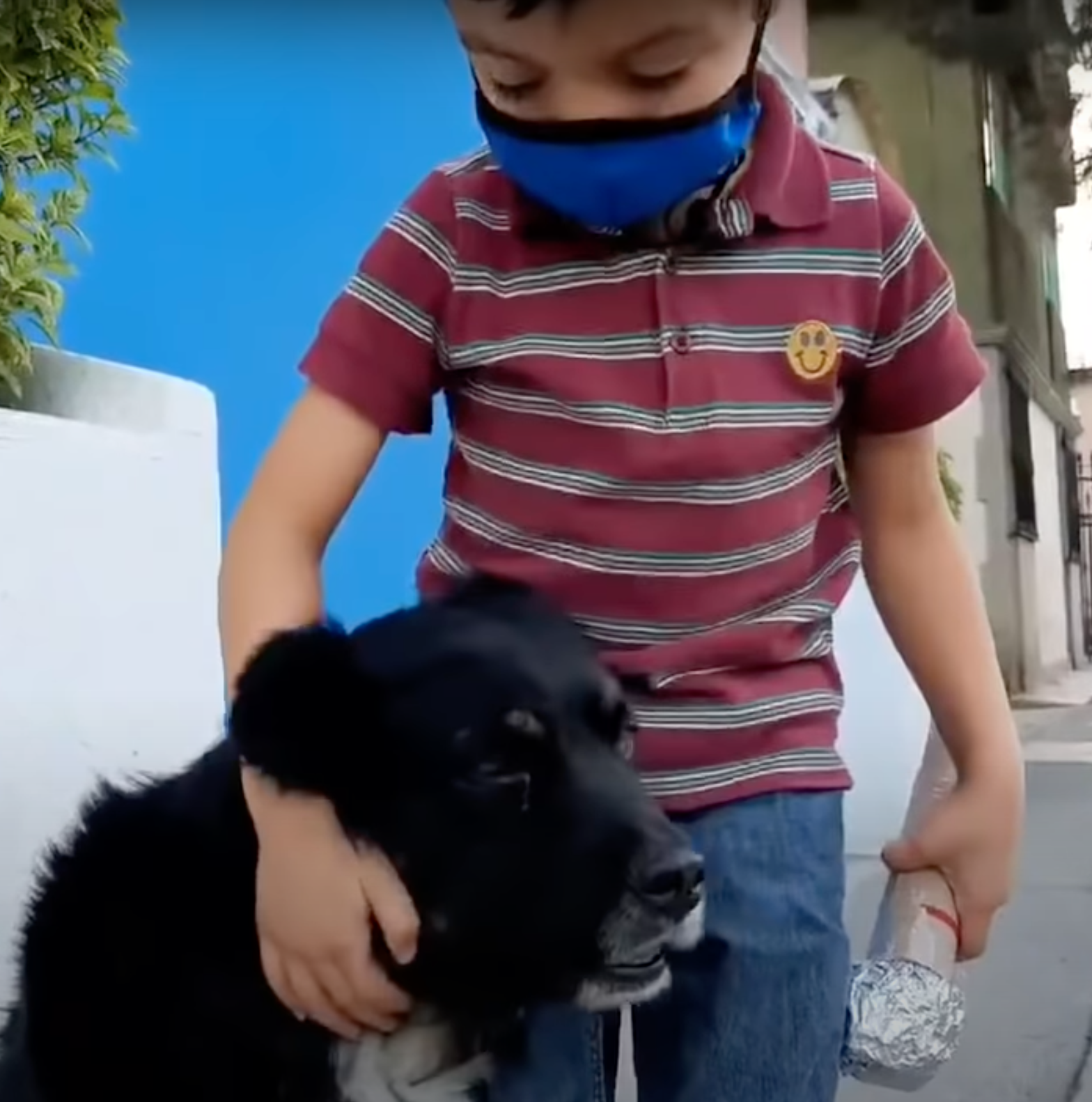 ¡Se merece un premio! Niño hace un reportaje sobre un perrito callejero y se hace viral