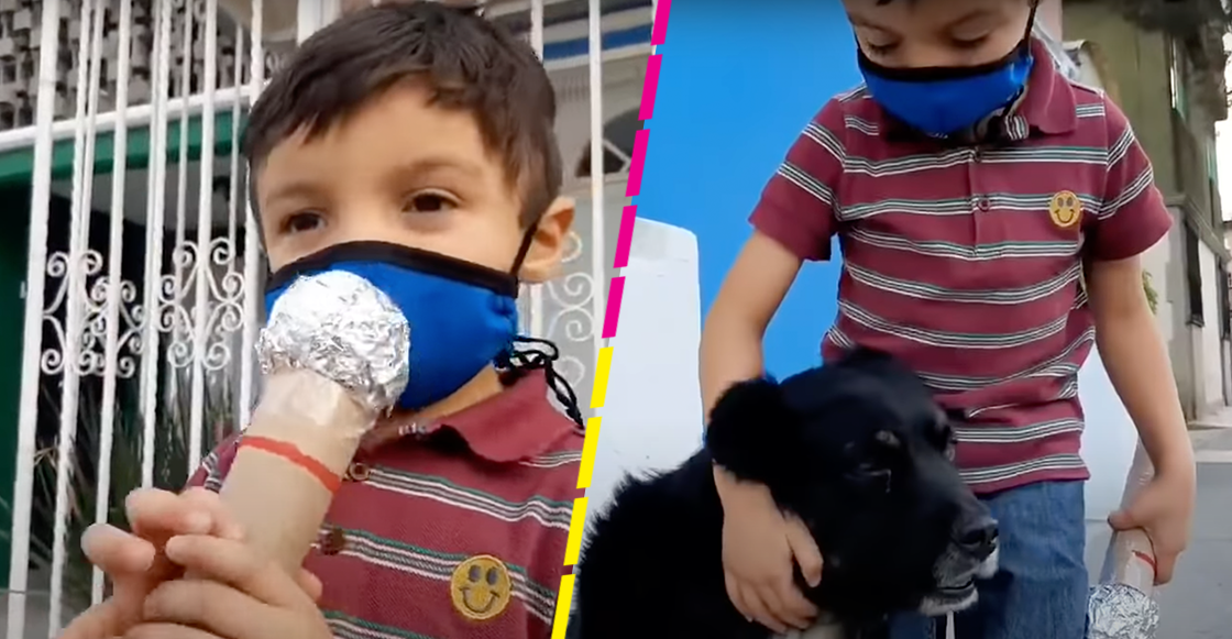 ¡Se merece un premio! Niño hace un reportaje sobre un perrito callejero y se hace viral