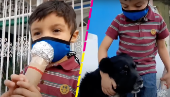 ¡Se merece un premio! Niño hace un reportaje sobre un perrito callejero y se hace viral