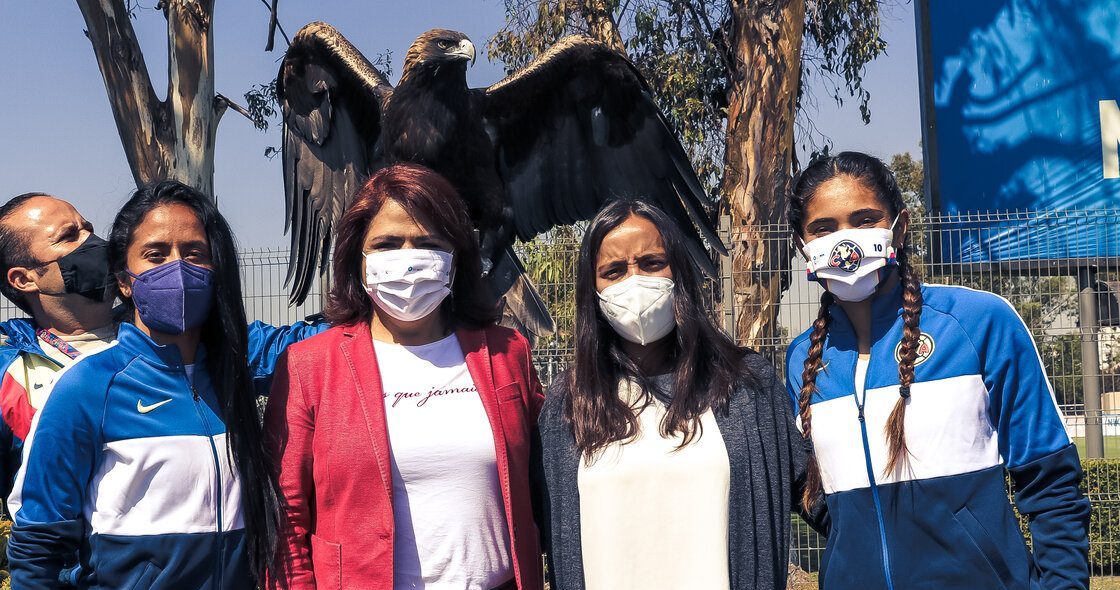 ¿Cómo trabaja América con la CONAVIM para erradicar la violencia de género?