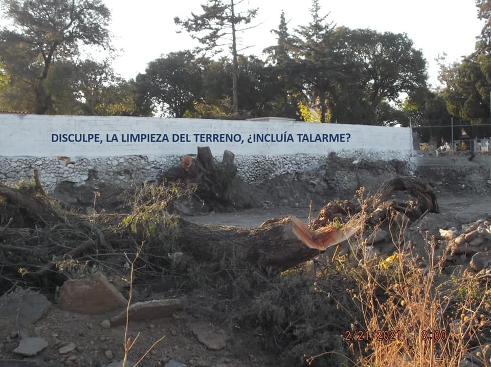 tala arboles tula detencion activista romero 1