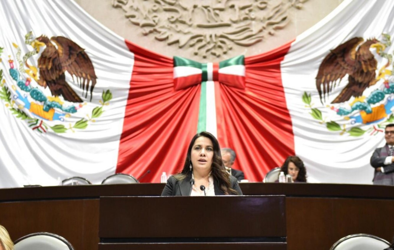 Natividad diaz oaxaca pan 2