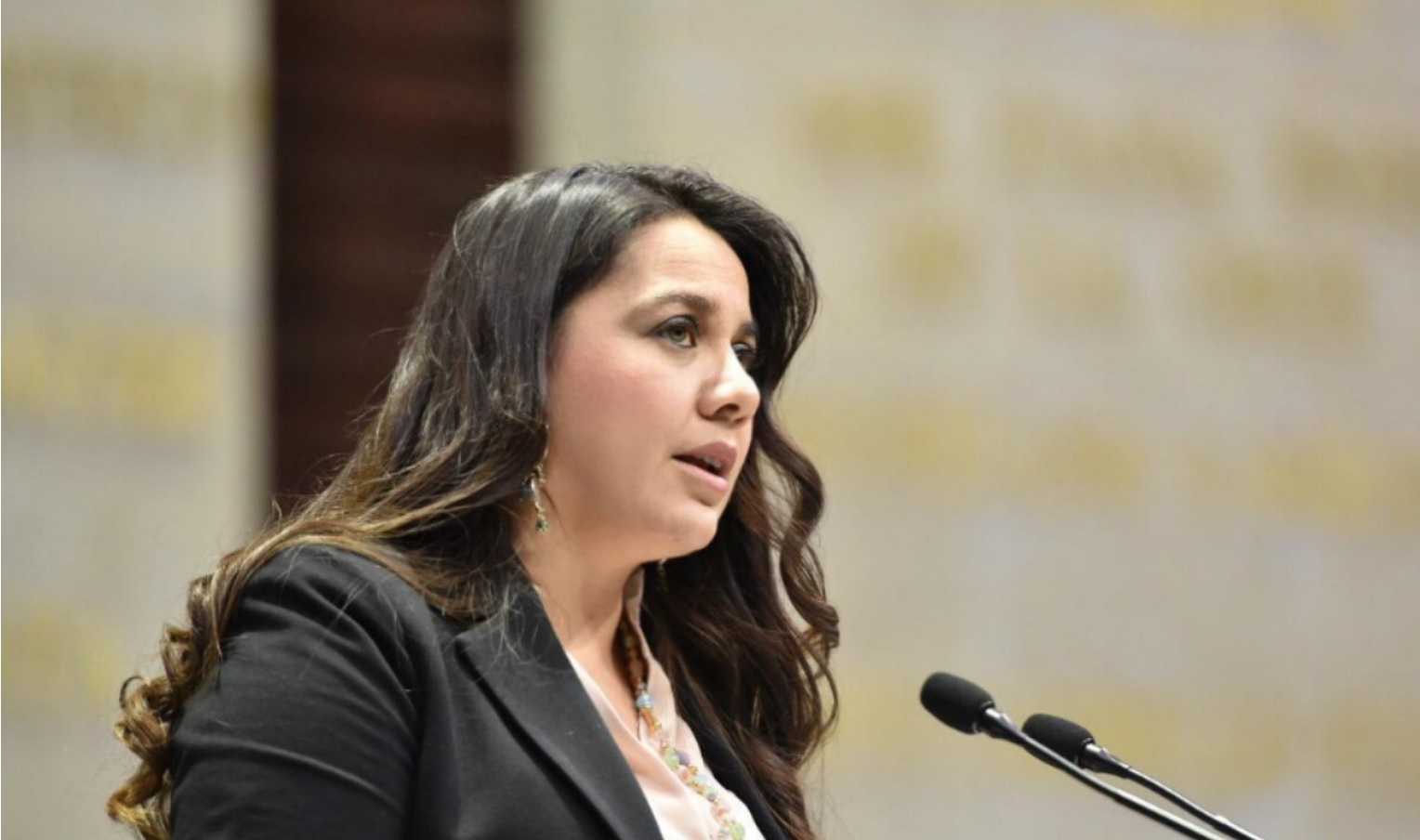 Natividad diaz oaxaca pan