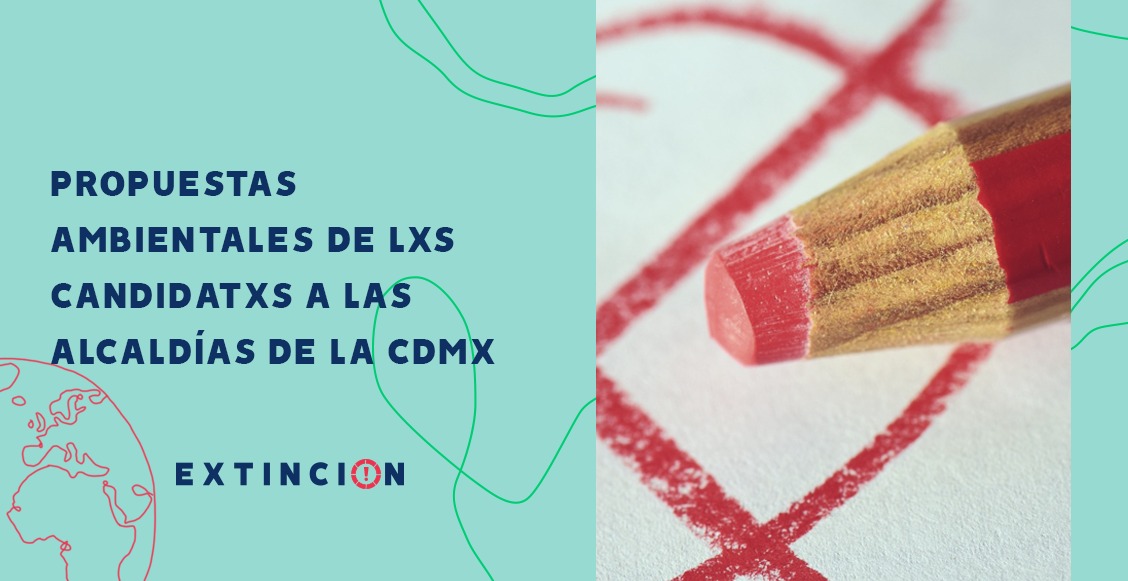 alcaldías propuestas ambientales