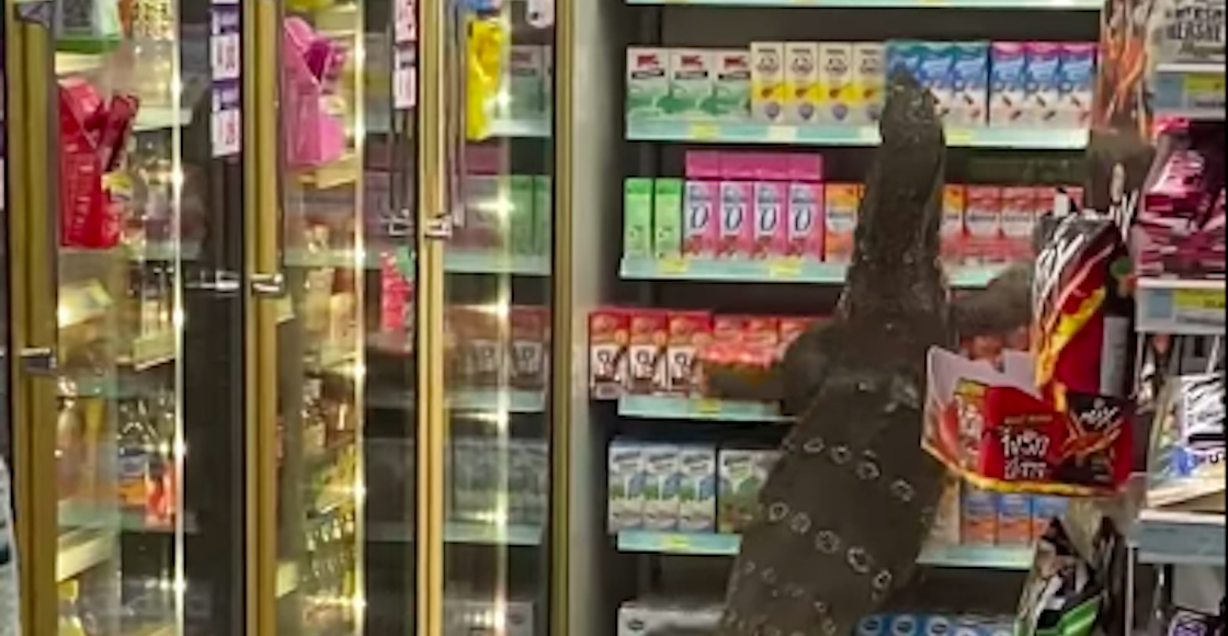 ama-lagartijo-dragon-komodo-video-seven-7-eleven-tailandia-lagarto-01