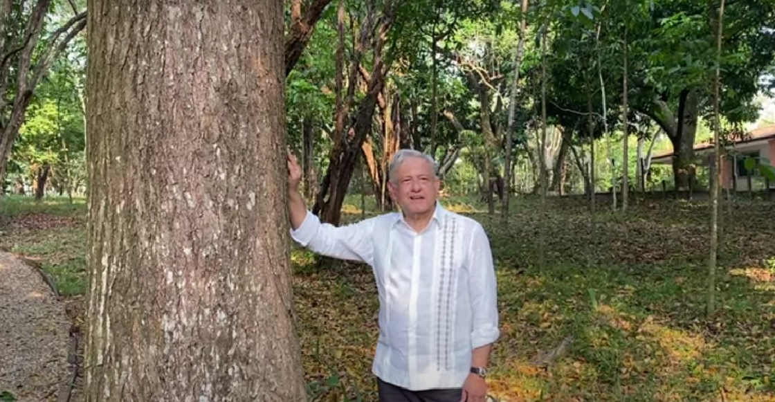 AMLO propondrá dar visas a centroamericanos del programa Sembrando Vida