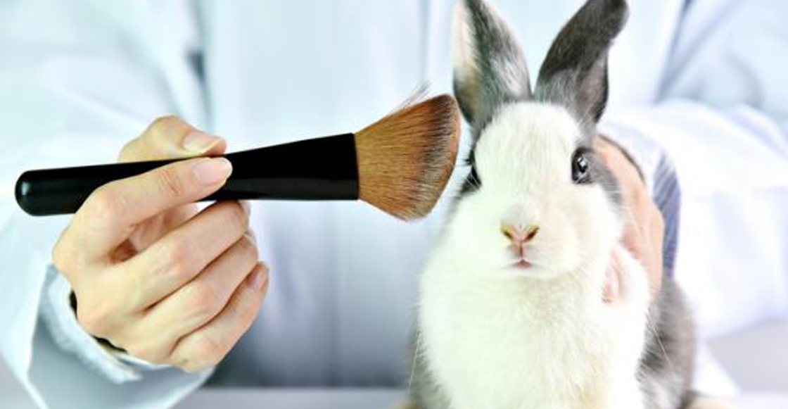 crueldad-animal-testeo