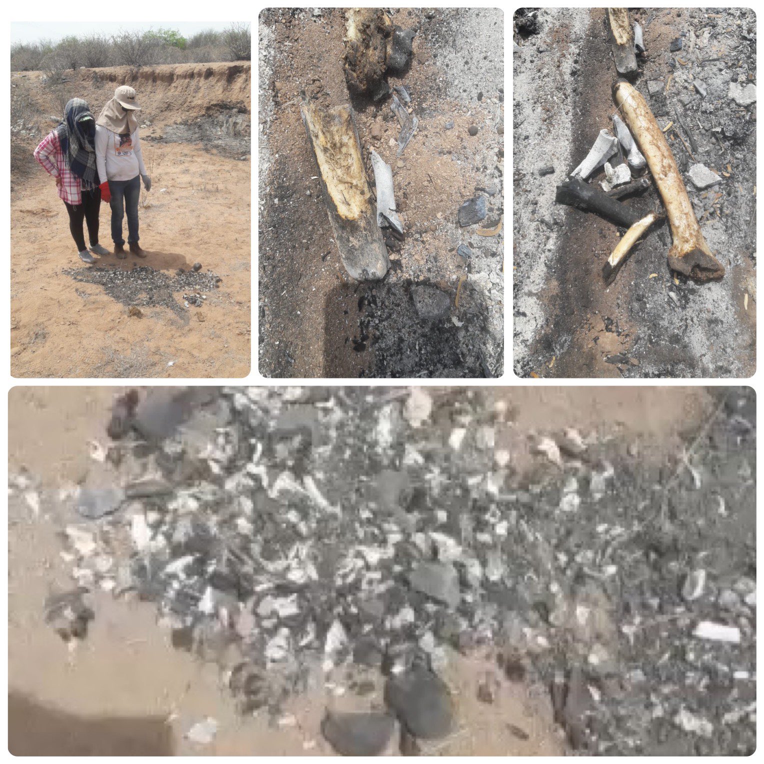 cuerpos-madres-buscadoras-sonora