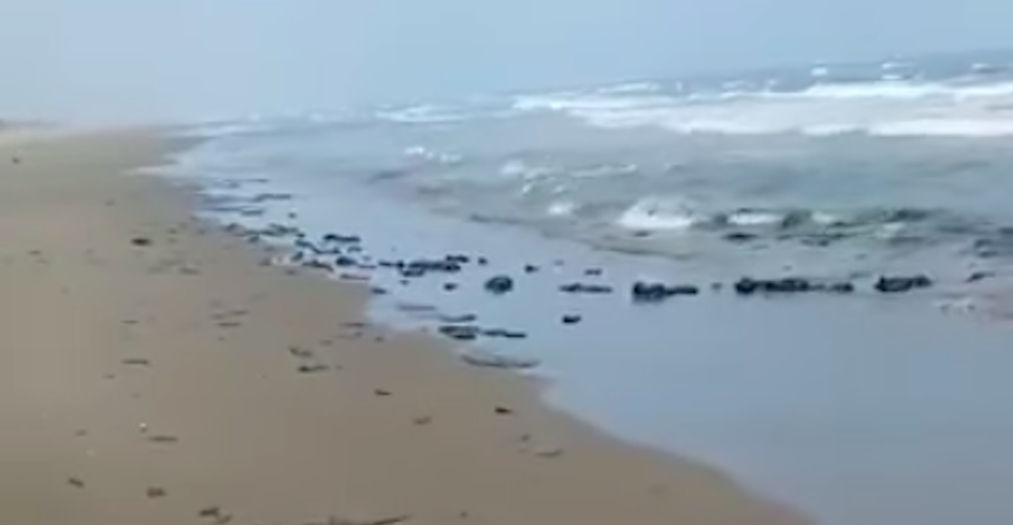 derrane-chapopote-tortugas-tecolutla-veracruz