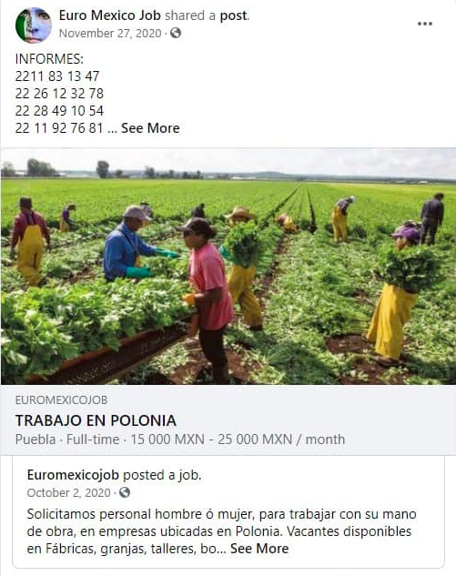 ejemplo-mexicanos-polonia-ofertas-trabajo-falsas-02