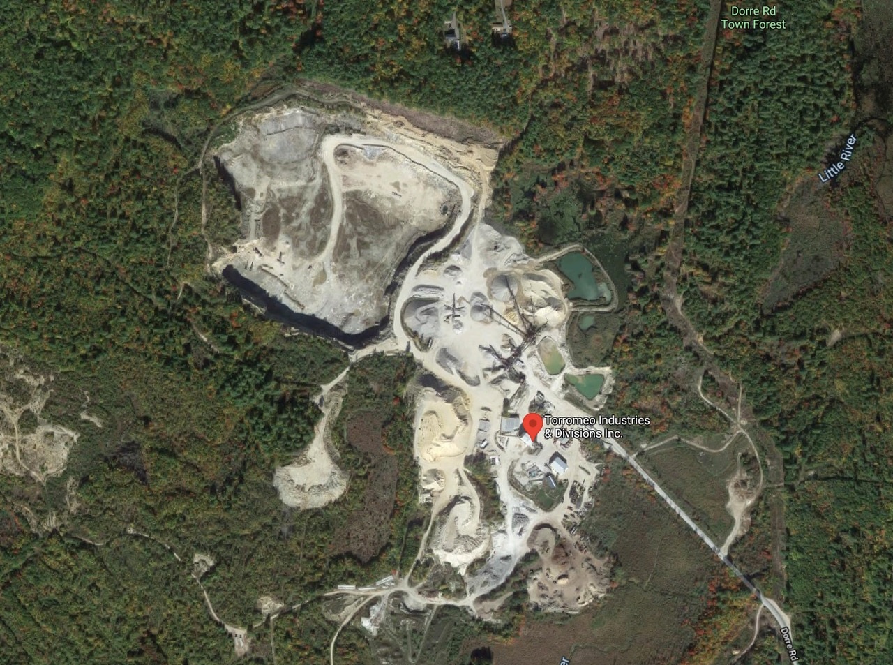 explosion fiesta revelacion sexo bebe