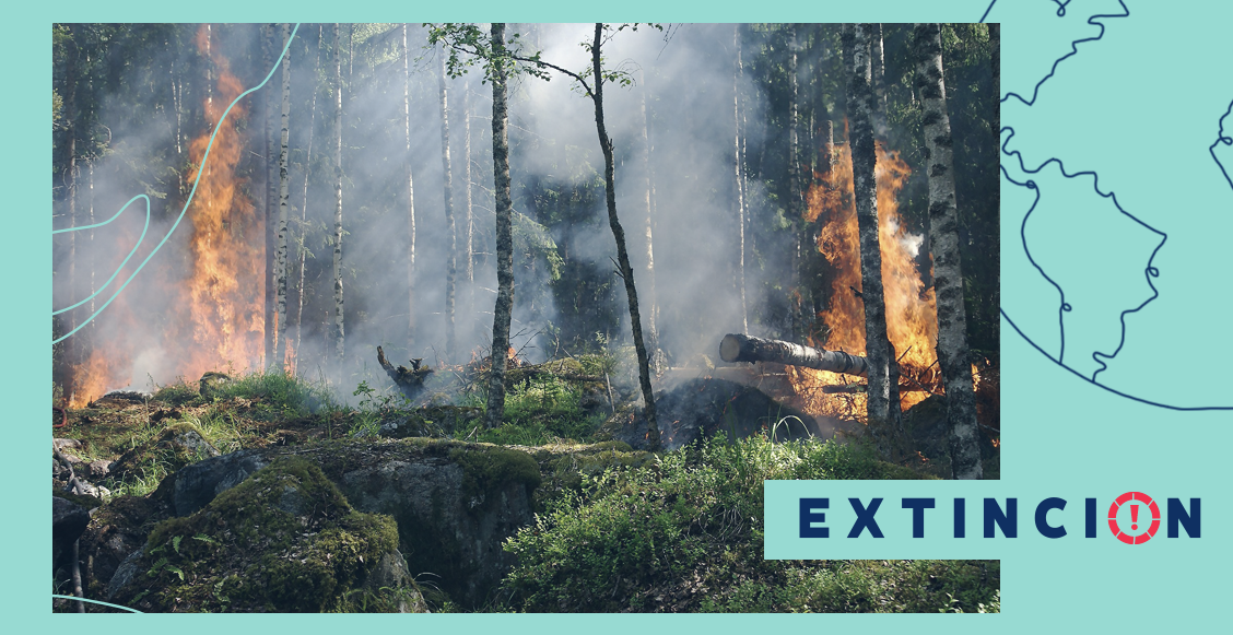 extincion-el-fuego-es-vida