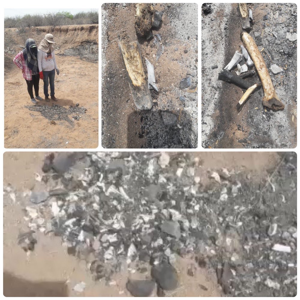 guaymas-sonora-fosas