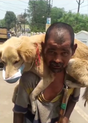Este hombre le pone su único cubrebocas a su perro para protegerlo del Covid-19