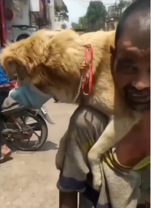 Este hombre le pone su único cubrebocas a su perro para protegerlo del Covid-19