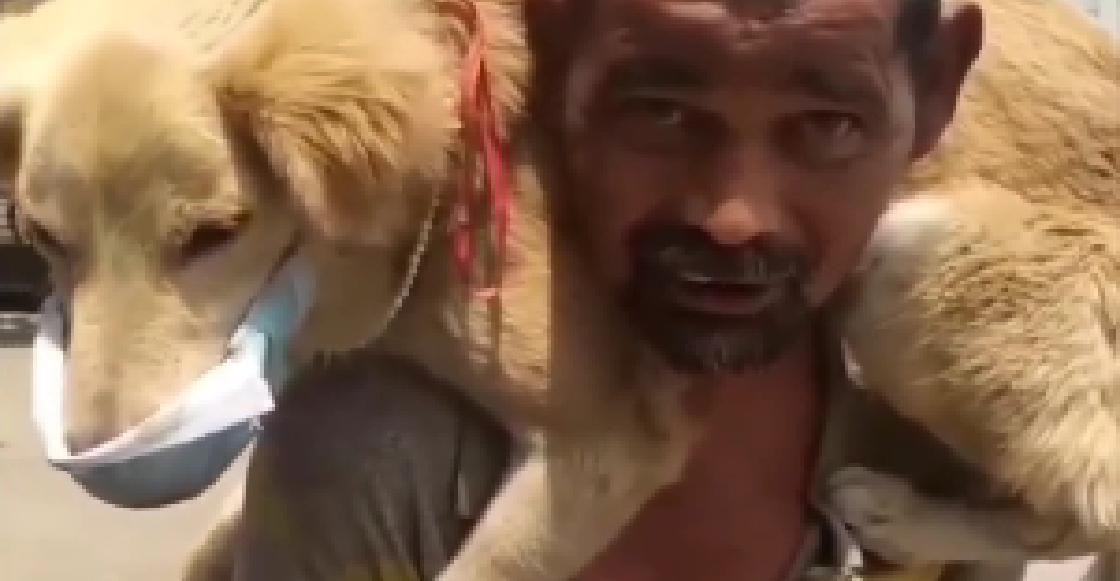 Este hombre le pone su único cubrebocas a su perro para protegerlo del Covid-19