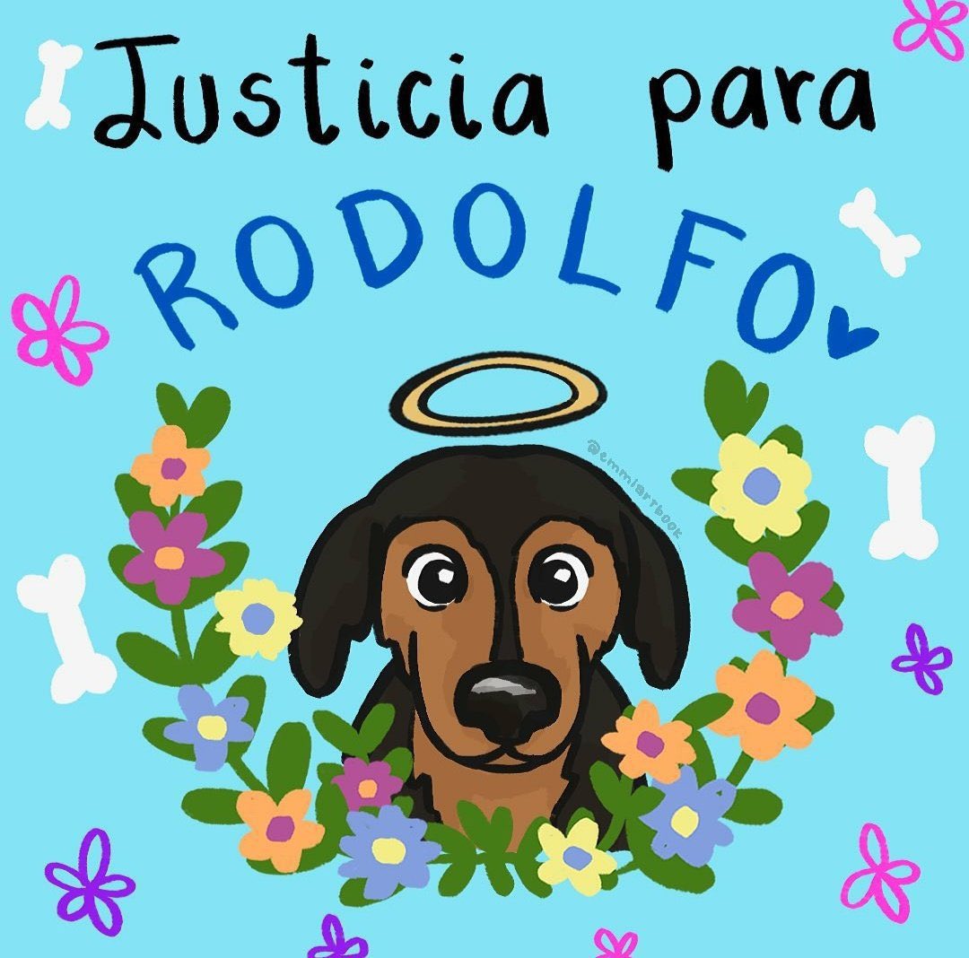 #JusticiaParaRodolfo: Novia de joven que mató a perrito dice que el animal la atacó
