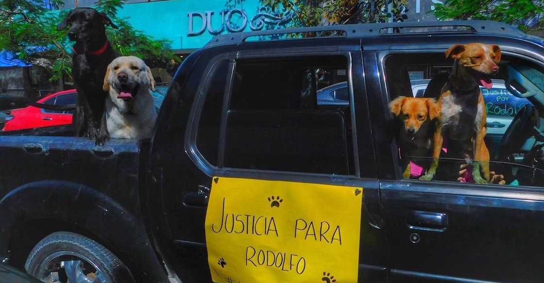 justicia-para-rodolfo-justiciapararodolfo-perrito-callejero-mochis-machete-sinaloa-manifestacion-02