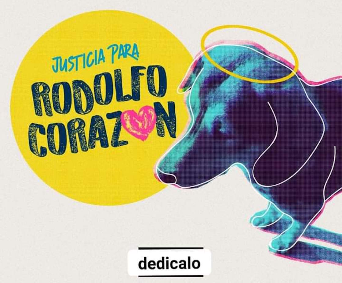 justicia-para-rodolfo-justiciapararodolfo-perrito-callejero-mochis-machete-sinaloa-manifestacion-03