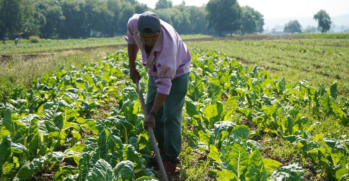 mexicanos-trabajadores-polonia-estafa-falsa-trabajo-inventado-que-hacer-sre
