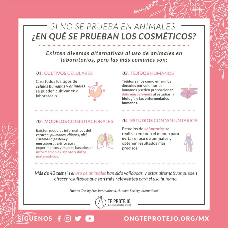 pruebas-animales-te-protejo